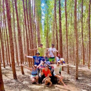 Read more about the article O que fazer em Maragogi além das praias