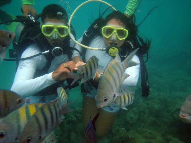 Mergulho-cilindro-maragogi (6)