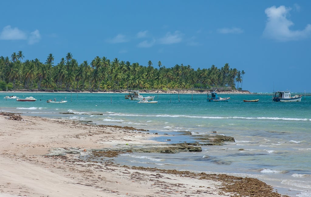 passeio de jangada são miguel dos milagres