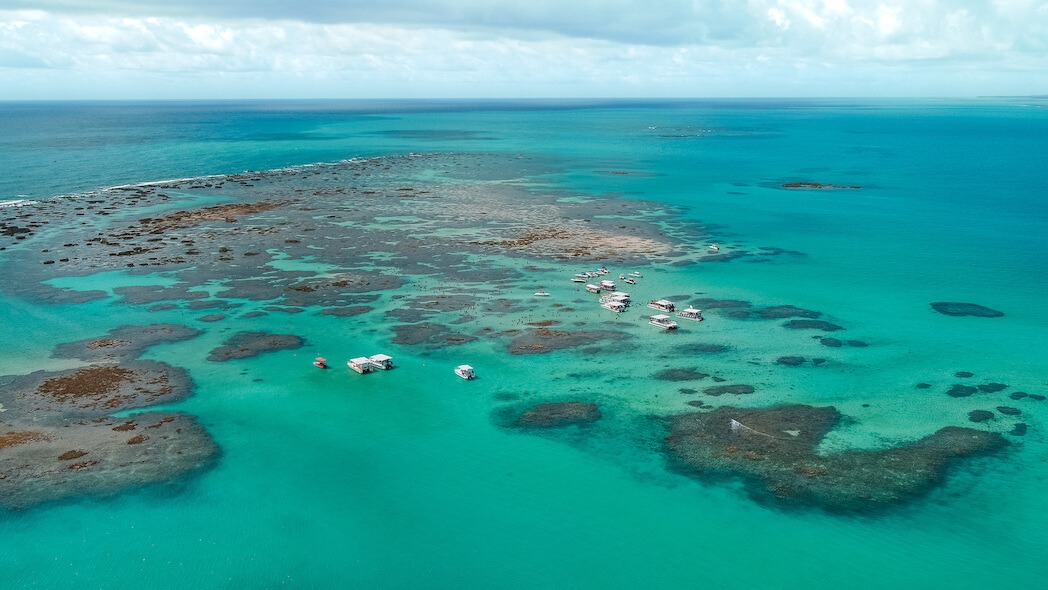 Read more about the article Piscinas Naturais em Maragogi: O Paraíso no Caribe Brasileiro