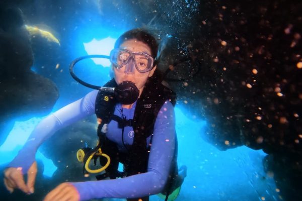 mergulhando entre corais na praia de sao jose da coroa grande